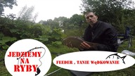 Wędkarstwo I Feeder I Tesco Fishing