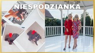 KUPILIŚMY JEJ BULDOGA FRANCUSKIEGO / IMPREZA NIESPODZIANKA / VLOG
