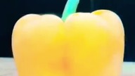 Liquid nitrogen VS Bell pepper  #liquidnitrogen #mrgear