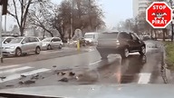 Kierowca BMW wymusza pierwszeństwo i doprowadza do kolizji w Puławach.  STOP PIRAT