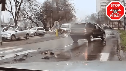 Kierowca BMW wymusza pierwszeństwo i doprowadza do kolizji w Puławach.  STOP PIRAT