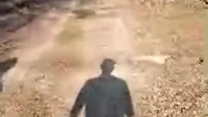 Wędrówka po Puszczy Zielonka! 30km Rev i Sharp!