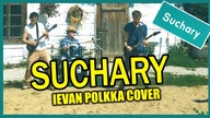 SUCHARY || Cyber Marian, Vordrab & Kabaret Malina (Ievan Polkka ROCK COVER)