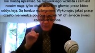 Starożytni kosmici. Cywilizacje pozaziemskie i bajki Darwina. 
