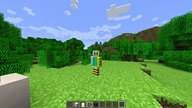 survival kampingowy (budowa #1)