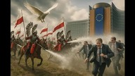 Grzegorz BRAUN 18 MAJA 2025 w imie JEZUSA i MARYI mp4 686x432