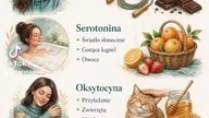 Cztery hormony, cztery drogi do lepszego życia 