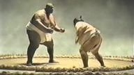 Sumo