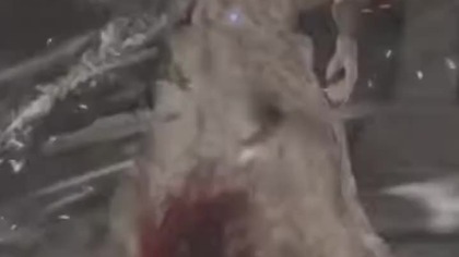 Eldem Ring - Boss : Apostoł Boskiej Skóry