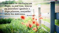 Janek Pajor - Jedną piękną Księgę znam