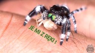 FEEDING VIDEO 3! *slowmo*