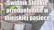 Świdnik: Słodkie przedpołudnie w miejskiej pasiece