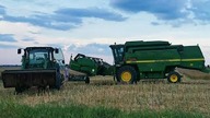 Żniwa od kuchni - jak plonuje rzepak?