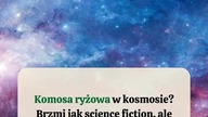  Komosa ryżowa w kosmosie  NASA naprawdę ją lubi!