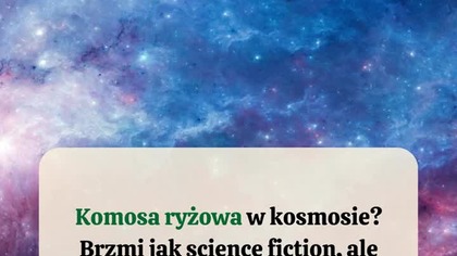  Komosa ryżowa w kosmosie  NASA naprawdę ją lubi!