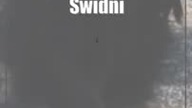 Świdnik: Pomóżmy zwierzętom