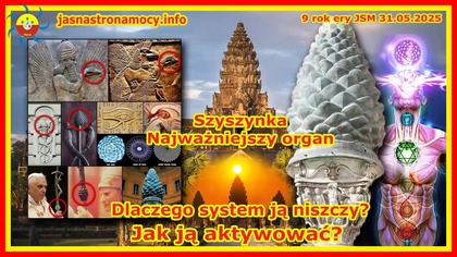 Szyszynka Najważniejszy organ Dlaczego system ją niszczy Jak ją aktywować