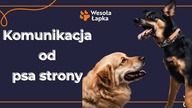 Komunikacja od psa strony