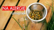 Zioła na alergię: rumianek. Czajnikowy.pl