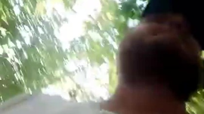 r00bik leśny słoneczny - od zastąpienia przez AI niebezpieczny - leśny spacer i pogadanka z Sharpem!