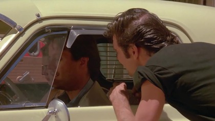 Wanda.  nevada.  1979.  Lektor.pl