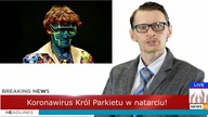 KORONAWIRUS KRÓL PARKIETU trailer-NEWS