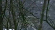 Wolf song (Celtic version)