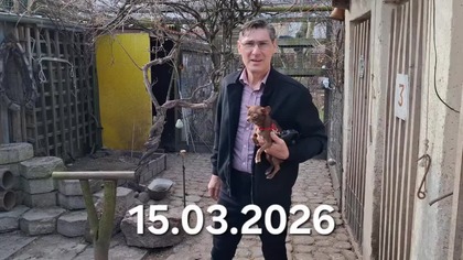 Kury w Garden kuRaż 15. 03. 2026 #chicken