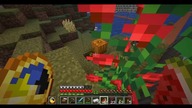 Why #minecraft #gaming #Short #Shorts #Patrol