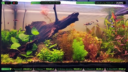 AkwaLive porządki [LIVE #146]