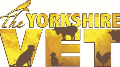 Weterynarz z Yorkshire (2015)