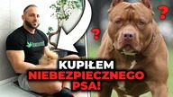 Nowy Pies Obronny