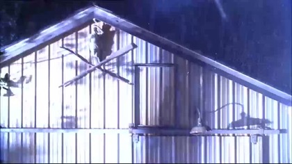 INVASION 21.  (2005)