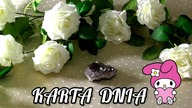 KARTA DNIA 14 lutego 2024  #tarot #ezoteryka #magic #wróżba #karty #ezoteryka