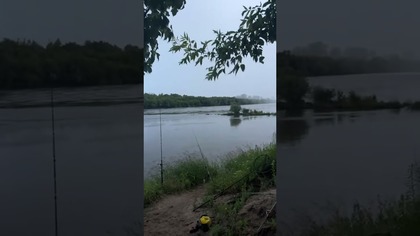 Najciekawsze momenty na żywo