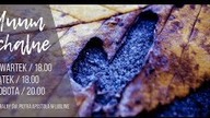 Triduum Paschalne 2019 // zaproszenie