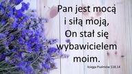 Audycja Wyzwolony Aghata Bernie Boone