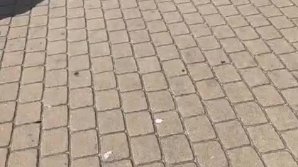 Dawid jasper i mój live w miejscowości Ustka nad morzem 2025-07-06 17 07 [8LpYxaQx ss]