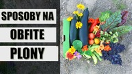 NATURALNE sposoby na OBFITE ZBIORY WARZYW 