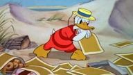 Kaczor Donald - Piknik na plaży (1939)