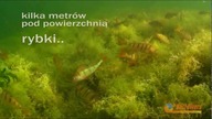 Dwa odmienne oblicza Hańczy