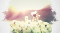 MAPO - The Sun (Positive message)