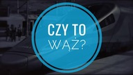 Padalec- czy to wąż?