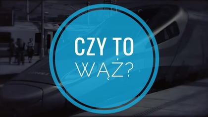 Padalec- czy to wąż?