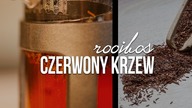 Rooibos herbata, jak parzyć czerwonokrzew, właściwości. Czajnikowy.pl