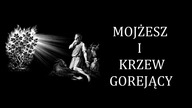 Mojżesz i krzew gorejący - bogowie, przywołane węże, płonące pyłki i halucynacje (AKRK 019)