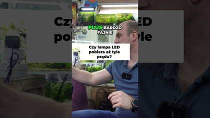 Test poboru mocy  wyniki mnie zaskoczyły  #akwarium