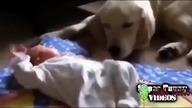 Funny baby compilation part 2 ( Śmieszne Dzieci )