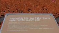 Inwazja pomarańczowych ludzików