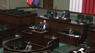 Janusz Korwin Mikke EDUKUJE sejm ws.  LIBERUM VETO - Zacznijcie mówić prawdę o KONSTYTUCJI 3 Maja!